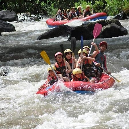 Amara Giri I Villa Ubud Buitenkant foto