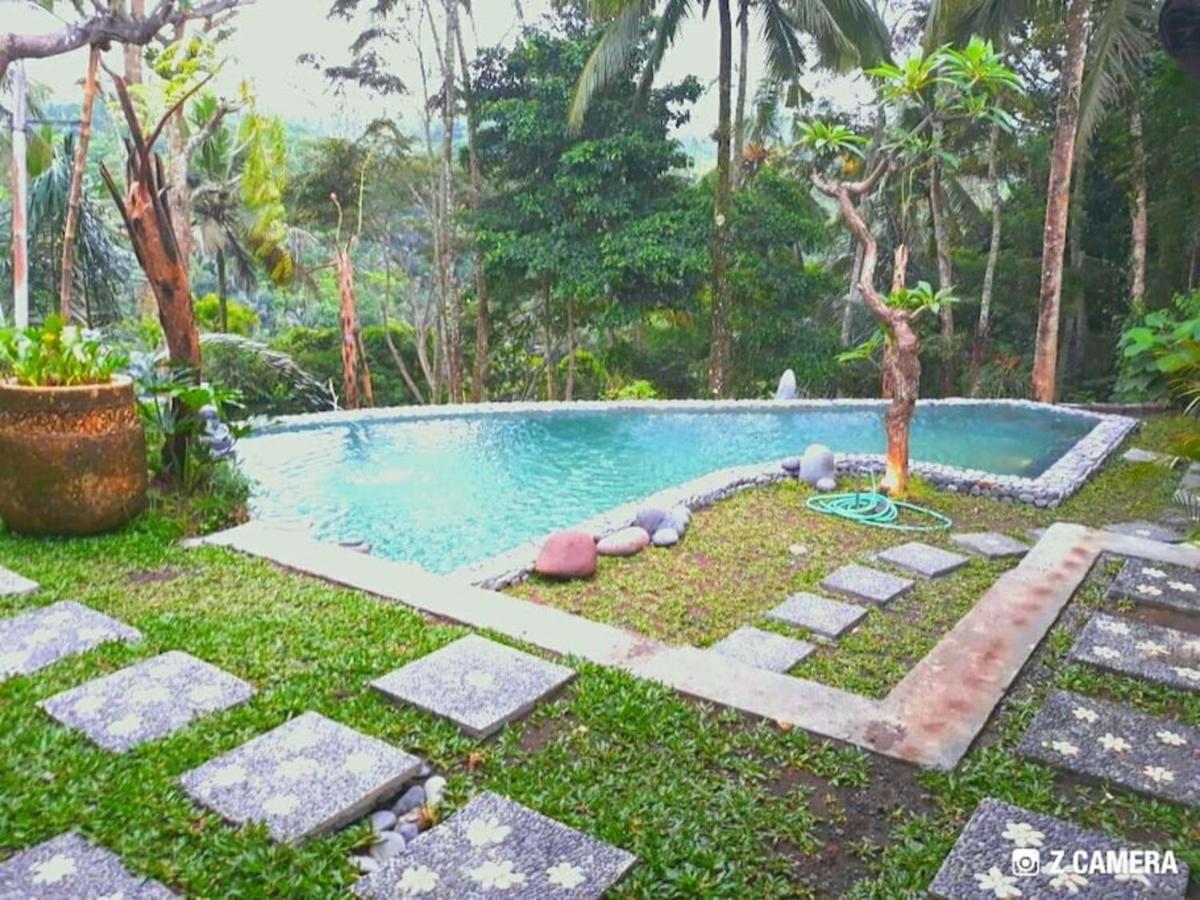 Amara Giri I Villa Ubud Buitenkant foto