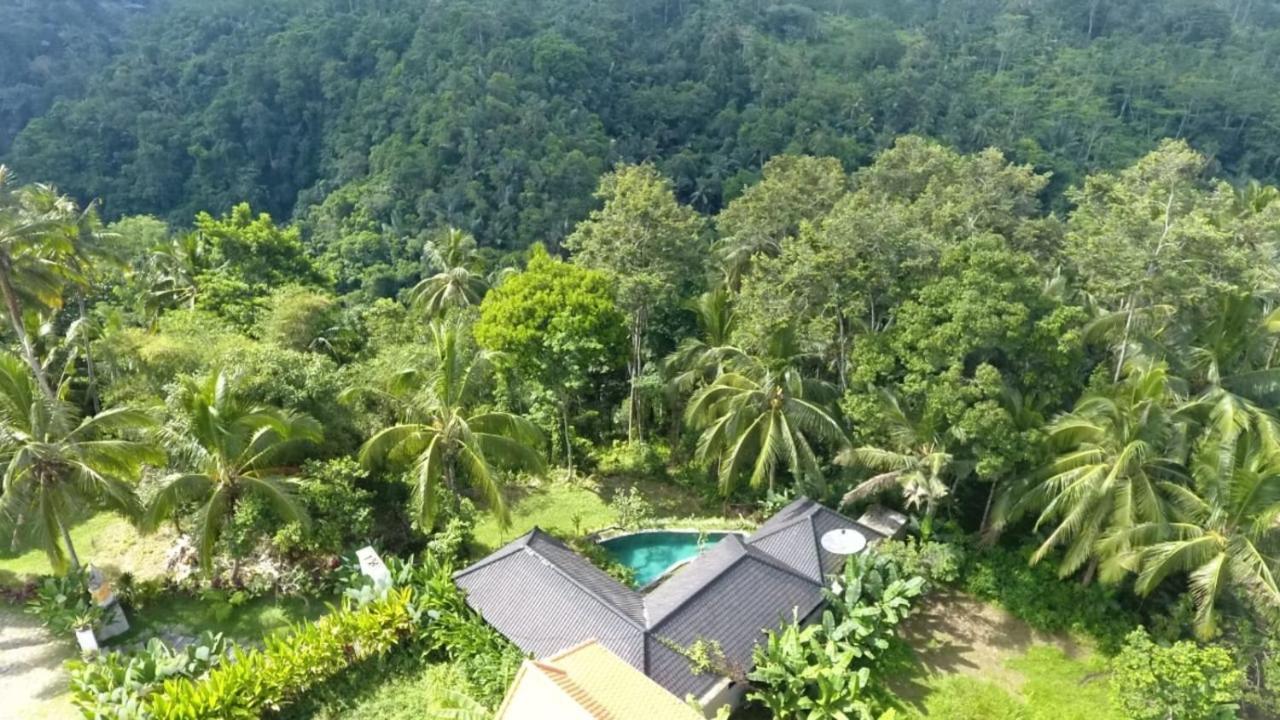 Amara Giri I Villa Ubud Buitenkant foto