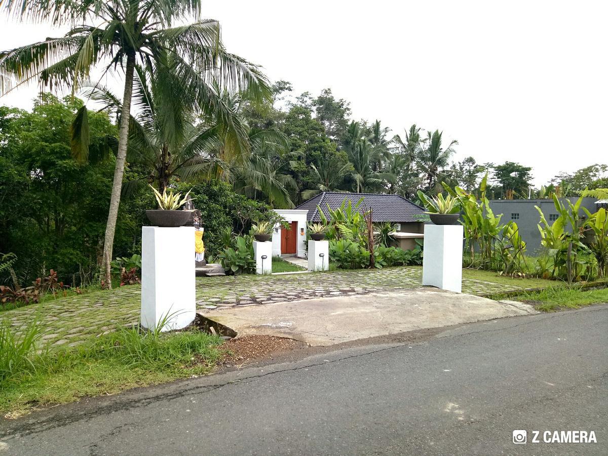 Amara Giri I Villa Ubud Buitenkant foto