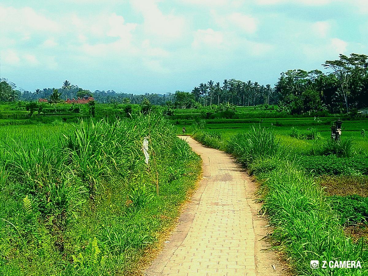 Amara Giri I Villa Ubud Buitenkant foto