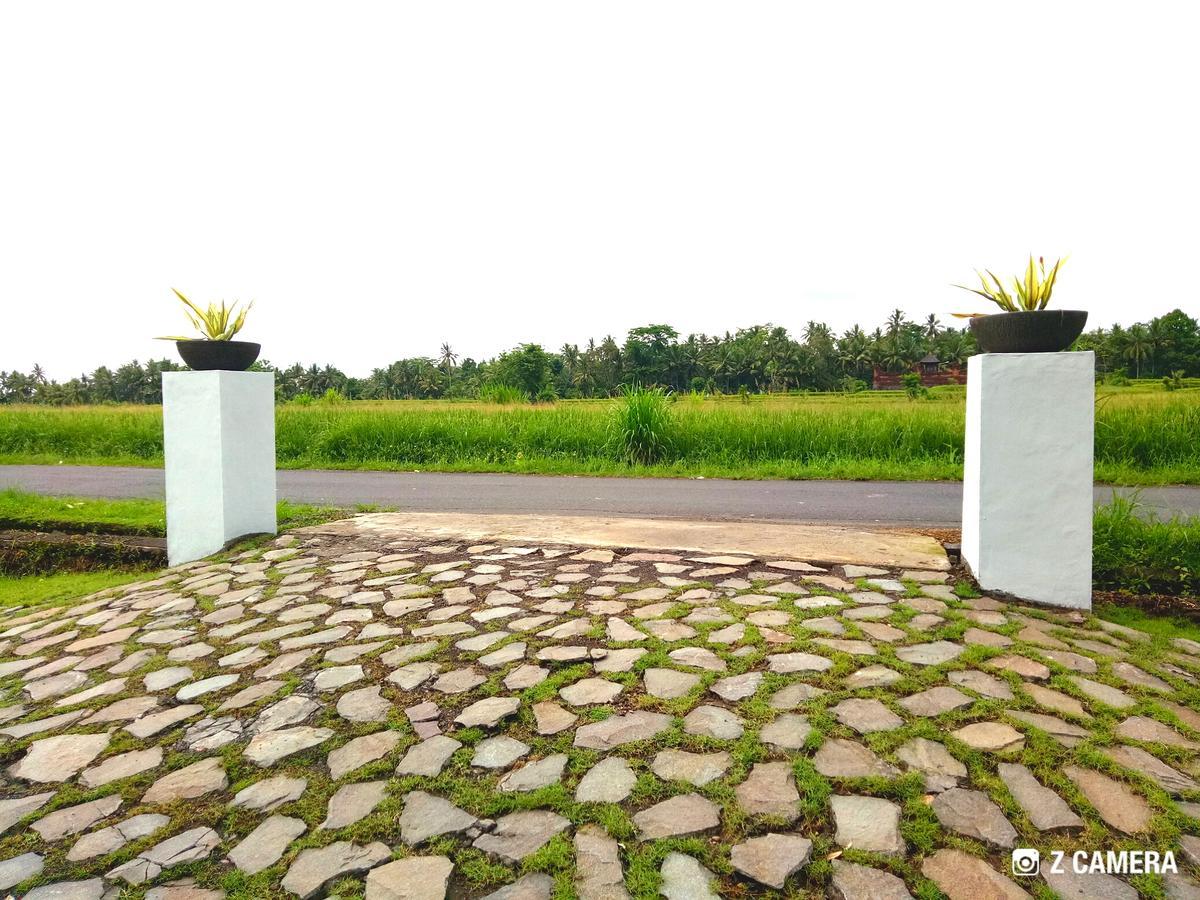 Amara Giri I Villa Ubud Buitenkant foto
