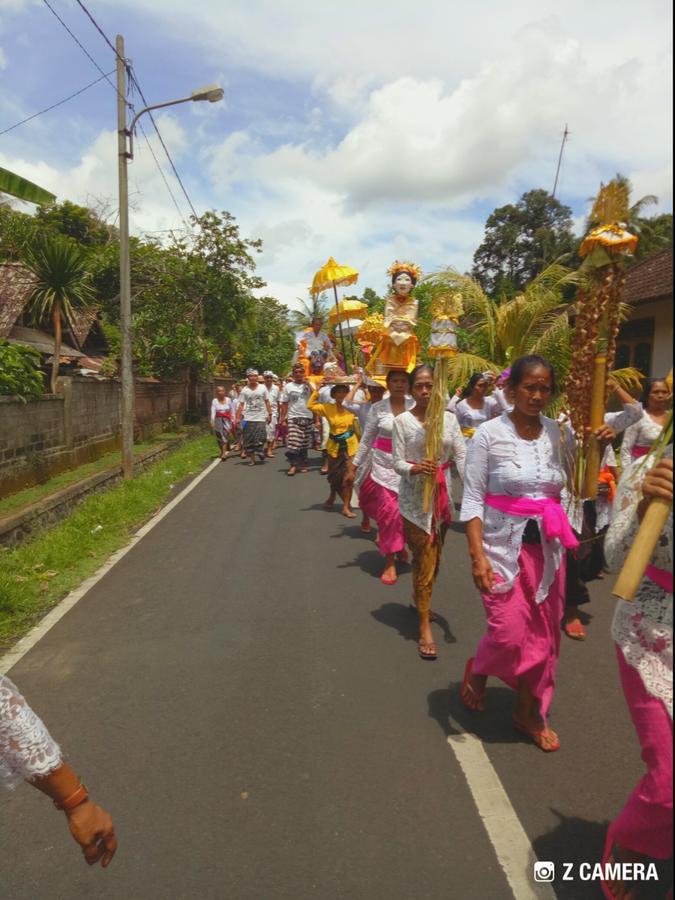 Amara Giri I Villa Ubud Buitenkant foto