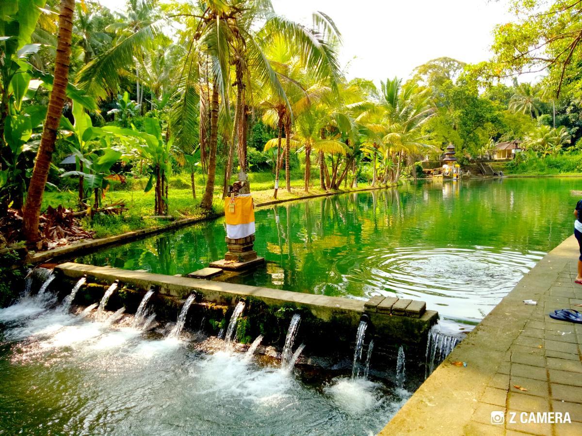 Amara Giri I Villa Ubud Buitenkant foto