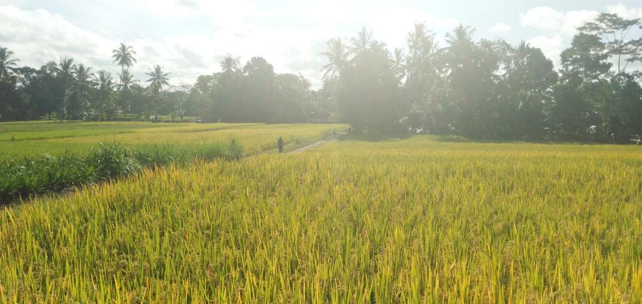 Amara Giri I Villa Ubud Buitenkant foto